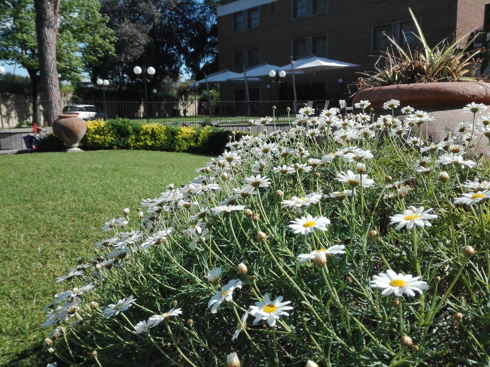 Hotell Kolping Casa Domitilla Rom